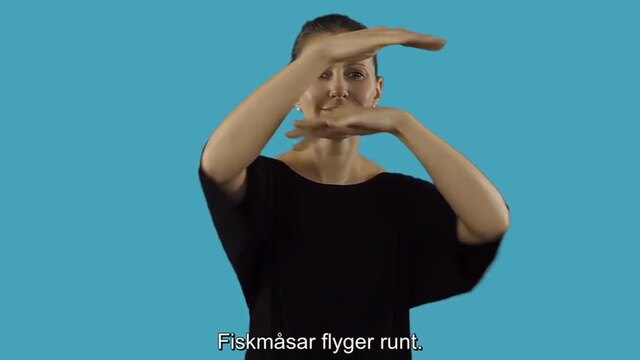 206. Fem ubåtsincidenter (teckenspråk)